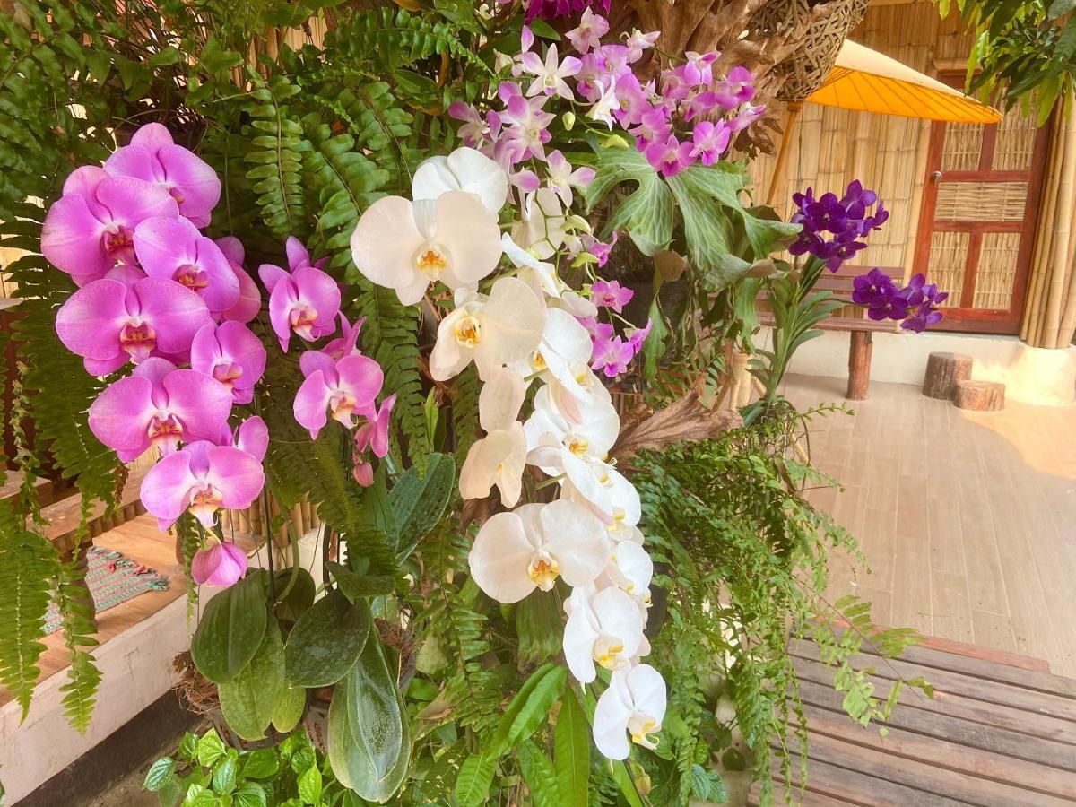 Ban Rai Jai Chaem - Spa Cafe & Homestay エクステリア 写真